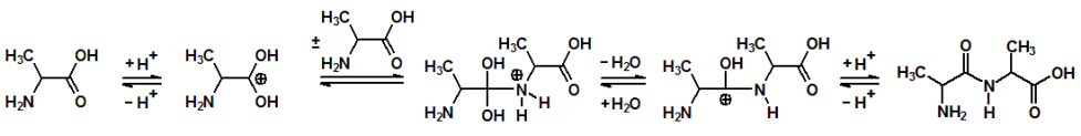 Reaktionschema